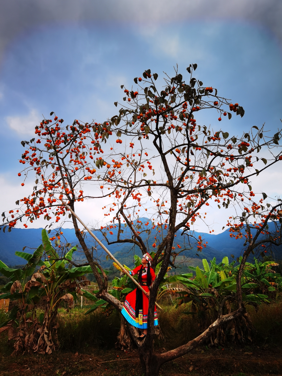 微信图片_20201102123016