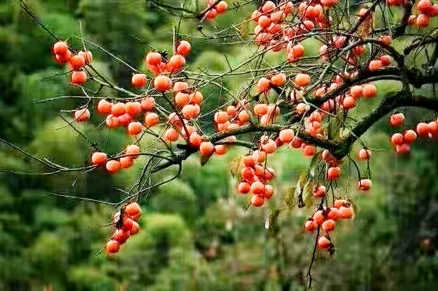 微信图片_20201102123020