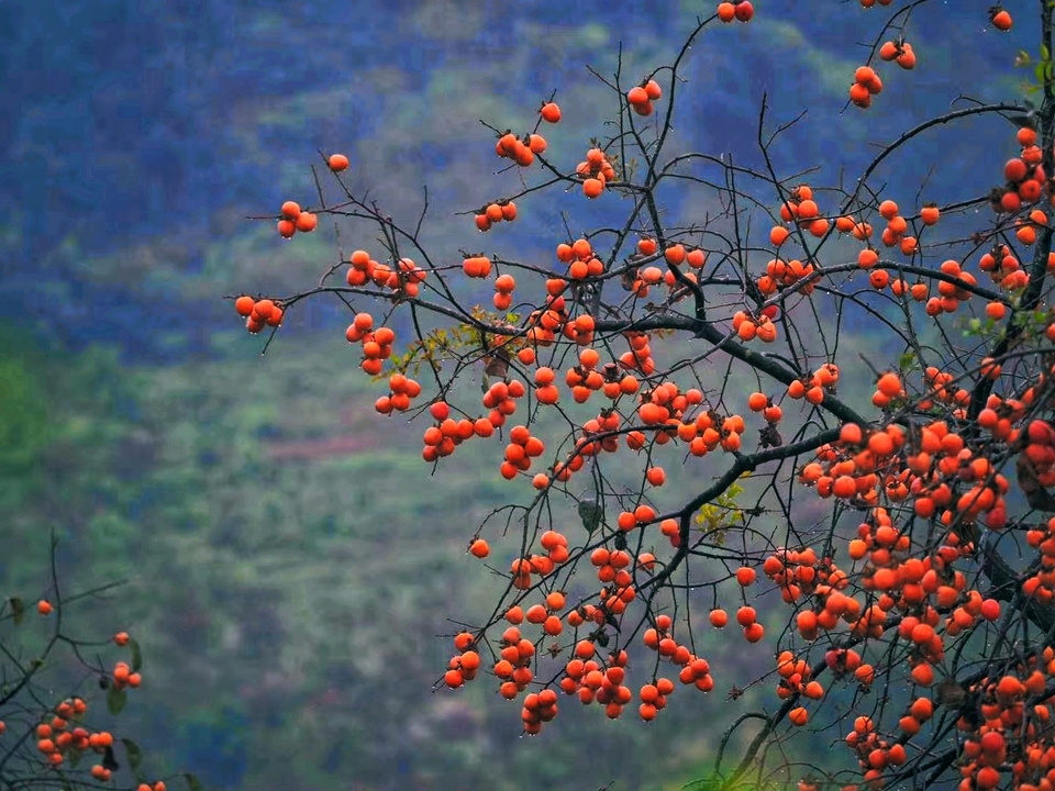 微信图片_20201102123025