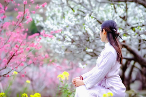 特价228元盛花期【女性免门票】【桃李迎丹霞山】游丹霞山，赏九峰十万亩争相怒放的桃李