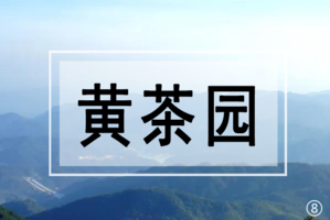 【黄茶园】登广州从化第三高峰黄茶园，呼吸大自然空气，休闲徒步溪头村