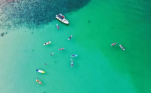 入住一线海景房【深度惠东】每周六出发：东虎岛浮潜赶海+盐洲岛观白鹭/滩涂日落+玩海上桨板+帆船出海+打卡礁石公园2天