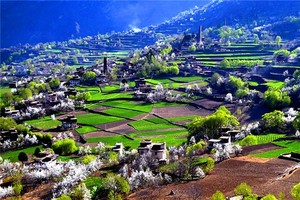 【大美四九】梨花映春雪  8人纯玩小团 · 升级3晚4钻酒店  九寨沟+金川梨花+四姑娘山双桥沟+中路藏寨+松潘古城6日