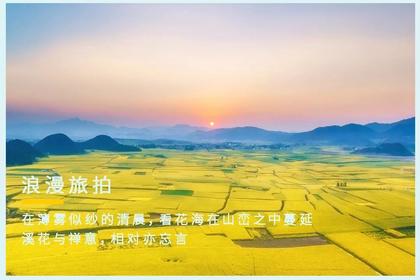 春节成行·【云贵春花】滇黔精华6天5晚深度游