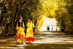 【童话新疆·6人小车团·金色南疆】罗布人村寨+塔里木胡杨、石头城&金草滩、瓦罕走廊、盘龙古道、班迪尔蓝湖、喀拉库勒湖9日