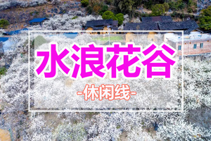 特价98【水浪花谷】漫山遍野花开，打卡“清远小林芝”水浪花谷、千亩山楂花基地~