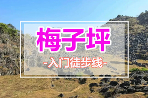 春节天天出发【梅子坪古道】打卡广东版墨石公园，徒步千年古道，深入喀斯特峰林，体会山村徒步乐趣