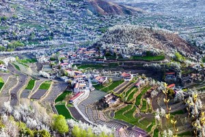 提前报名立减200/人【大美川藏·11日】G317+G318·藏地花韵  