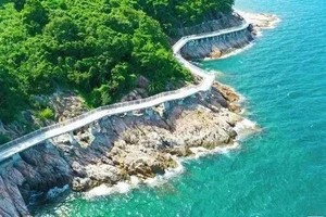 【特价89元】周六日漫步深圳盐田海滨栈道，徒步醉美海岸线1天活动