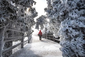 节假日【冰雪莽山2天】 漫步悬空栈道、观莽山云海冰挂雾凇、行摄最美丹霞公路马皇丘大峡谷/高椅岭、夜游裕后街