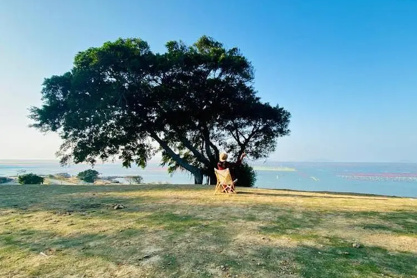 节假日【潮州古城&东山岛3日游】逛潮州古城，寻味潮汕小吃，打卡网红南门湾，游《左耳》知名电影取景地，苏峰山环岛公路拍美照