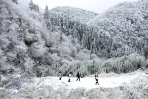 节假日【云冰山+瑶族博物馆+爱情小镇】邂逅广东“雪乡”雾凇冰挂、探访瑶族博物馆，体验粤、桂、湘交界“小丽江