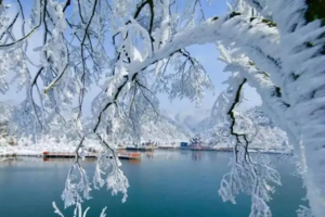 特惠349元【永州·阳明山+云冰山】南方人赏雾凇冰挂湖泊，一次打卡两大冰雪世界，观云海赏看大风车2日活动