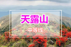 【高山杜鹃·天露山】 天露山万亩高山杜鹃惊艳绽放！一起欣赏漫山遍野红杜鹃花！