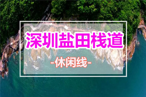 春日看海计划【深圳盐田栈道】打卡果冻玻璃海！行摄醉美海景，玩转大梅沙10公里绝美海边栈道，看海的天花板！