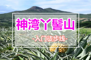 每周六日出发【神湾丫髻山】打卡中山版小华山，深入神湾菠萝产地，体验摘菠萝乐趣，农家乐品尝菠萝餐