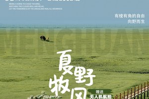 梦幻草原B线 | 呼伦贝尔天6天5晚丨海拉尔-莫日格勒河-根河-恩和-黑山头-满洲里