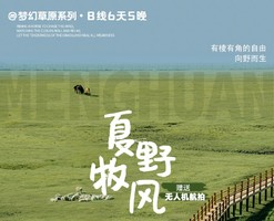梦幻草原B线 | 呼伦贝尔天6天5晚丨海拉尔-莫日格勒河-根河-恩和-黑山头-满洲里