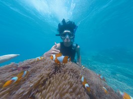 特惠308！【浪漫惠州2天】入住一线海景房，打卡广东马尔代夫、体验海边冲浪、SUP板、皮划艇、浮潜、沙滩赶海、海边烧烤、