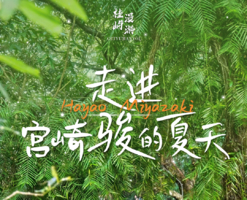 3天2夜 | 在广西边关走进宫崎骏的夏天-