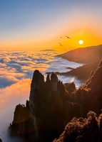 每周五晚/周六晚出发【莽山日出CP音乐会】夜爬莽山，看日出云海星空，漫步悬空栈道1天1夜