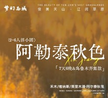 阿勒泰秋色 7天6晚丨6人拼团丨乌鲁木齐集散-