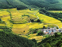 中秋/国庆【清远赏秋2天】行摄黑山梯田，探秘油岭千户瑶寨，参观广东瑶族博物馆
