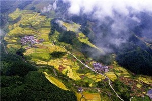 金秋118【醉美梯田1天】黑山梯田赏金色稻浪，层叠翻涌，品农家菜！神奇瑶岭，万座石山，美拍日落大片