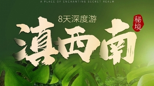 【滇西南秘境】沧源翁丁村-哀牢山-景迈山-鲁史古镇-普洱-翁基古寨-石门峡-古墨村-巍山古城8天深度游