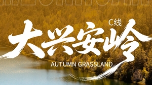大兴安岭C线丨海拉尔进出8天7晚丨
