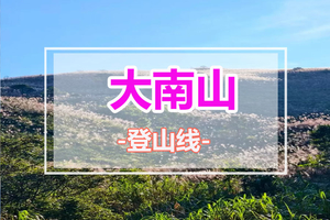 周末出发【惠州金色大南山】广东版武功山，徒步穿越迷人高山草甸1天