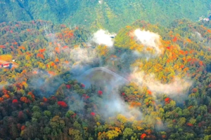 【昭黔秋色】昆明-雨碌大地缝-昭通大山包-盐津-宜宾-李庄古镇-蜀南竹海-小草坝-毕节九洞天-千户彝寨-妥乐银杏村8日