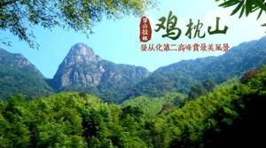 元旦出发【从化十登之鸡枕山】一鸣惊人—登广州第二高峰1天活动