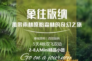2025#象往版纳｜春城昆明｜西双版纳热带雨林｜5天4晚｜双飞双动风情体验之旅