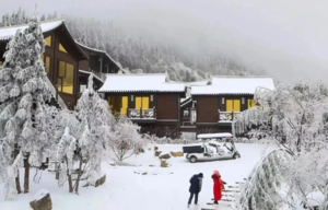 元旦【冰雪奇缘】打卡离广州最近的2大冰雪圣地:云冰山+金子山,畅玩云海秘境,赏雾淞、观冰挂2天游！