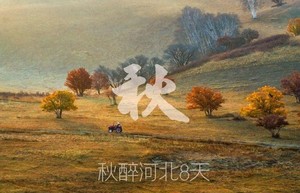 【秋醉河北8天】10月24出发，娲皇宫-响堂山石窟-东太行-苍岩山-正定古城-夜游荣国府