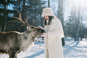 你好！大东北2-8人舒适小团丨5天4晚丨延吉+图们+长白山+雪岭+雪乡+亚雪公路+滑雪+马拉爬犁+雪地温泉+驯鹿接触