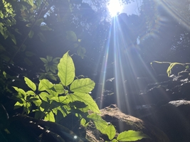 每周六、日出发特惠98元【西樵山探洞】佛山西樵山探洞，追一场耶稣光盛宴1天