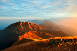 特价299元！每周五晚出发【金色武功山】赏超级云海：向云端高山草甸，草木界小阿勒泰2日3晚