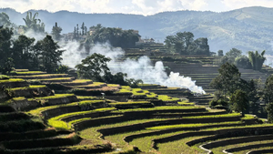 2025-2026 秘境哀牢山 | 昆明 哀牢山 元阳梯田 建水古城 5日活动