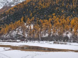 【大美稻亚】10人纯玩小团 · 赠驻地藏式旅拍  稻城亚丁+四姑娘山双桥沟+墨石公园+鱼子西+红海子+理塘7日·半自由行