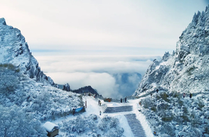 雪遇神农｜神农架4天3晚轻奢滑雪VIP小团：邂逅雪国秘境森林+打卡大九湖冬韵