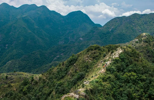 特价98,11月23出发【金竹嶂环线】穿越密集竹林，形成壮丽的自然独特景观，俯瞰连绵山峦，徒走悬崖峭壁。