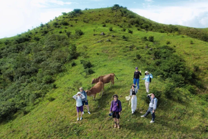 【恩平牛塘山】登恩平秘境牛塘山 赏醉美高山草甸