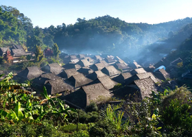 【象往版纳】昆明-普洱-太阳河小熊猫-景迈山-版纳-总佛寺-野象谷-中科院-热带雨林徒步-星光夜市7日游
