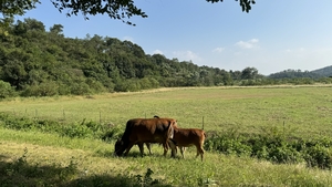 1月18日【广100第六站·穿越北回归线】花都芙蓉嶂～天龙溪～茅輋村～红山村16KM徒步大会