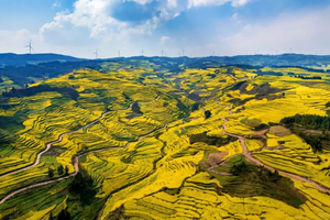 2026年春节丨滇东南 昆明 弥勒 建水 元阳梯田 罗平油菜花双动纯玩7日游