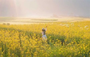 【2026季节限定】花海春笺 • 黔西南