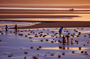 特惠398！【惠东过大年】看妈祖文化非遗盛宴，海边篝火晚会，海边赏烟花，体验海边赶海，入住海景房，邂逅双月湾最美日落、畅