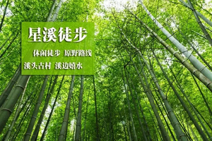 春节天天出发【从化星溪踏青徒步】徒步穿越十里竹海 感受最美乡村小径~